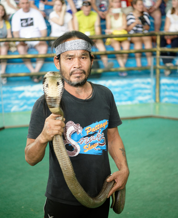   Pattaya,Thailand- November 20,2017: Show of snakes. Performer play with cobra during a show in Pattaya Snake Showのeditorial素材