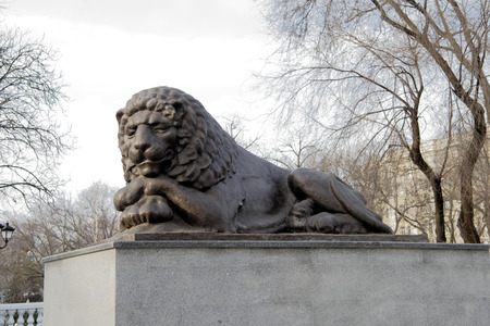  Rostov-on-Don,Russia - December 17,2017: Fountain with lions on the square of Sovietsの写真素材