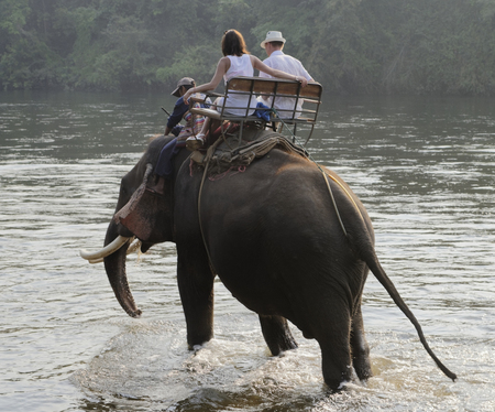 Kanchanaburi,Thailand- February 20,2018: Tourists ride elephant by the river, to the place of bathingのeditorial素材
