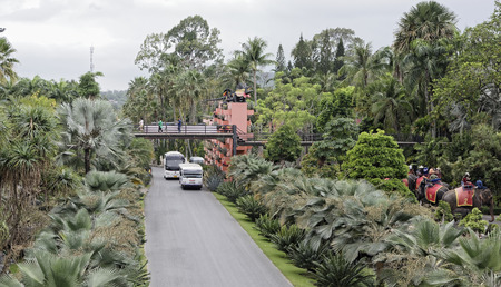 Pattaya,Thailand- February 23,2018: Tourists ride elephants in the park of Nong Noochのeditorial素材