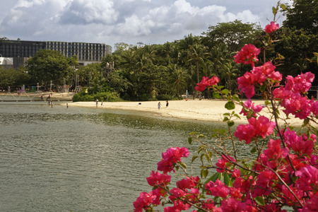 Singapore, Singapore- August 10, 2018: View of Sentosa Palawan Beach from Palawan Island. People resting on the shoreのeditorial素材