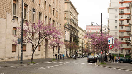 NAPLES,ITALY-APRIL 03-Pedestrians walking on the street with flowering trees  on April 03,2014 in Naplesのeditorial素材