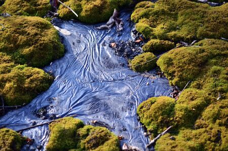 black resin among the moss