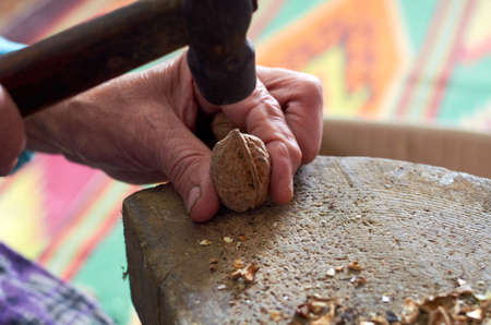 Hammer in hand breaks a nut on woodの写真素材