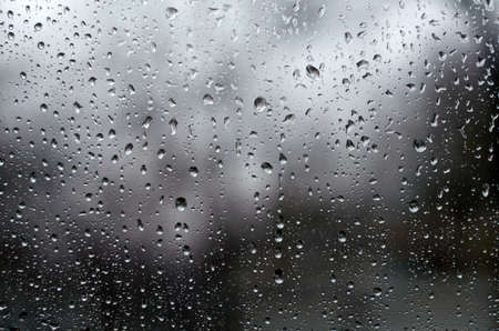 On a spring raining day. Natural drops of water on the windowの写真素材