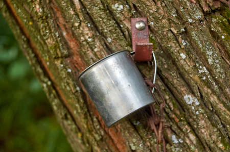 A metal mug for water with a chain near a source in the countrysideの写真素材