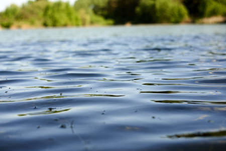 Waves on the surface of the pond. natural background.