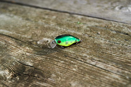 Small wobbler for predatory fishの写真素材