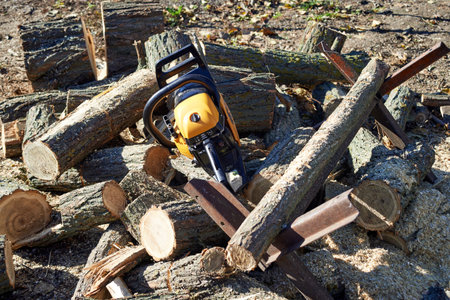 Photo of chainsaw and pile of acacia firewood
