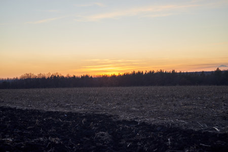 Photo of evening sunset in countrysideの写真素材