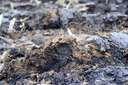 Photo of freshly plowed fieldの写真素材
