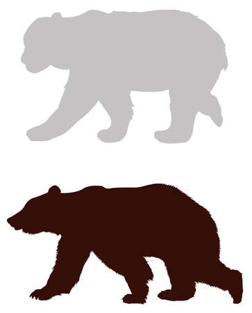 vector illustration of bear silhouetteのイラスト素材