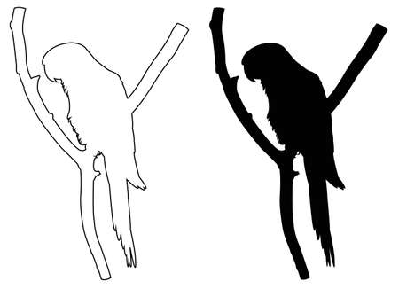 vector illustration of parrot silhouetteのイラスト素材