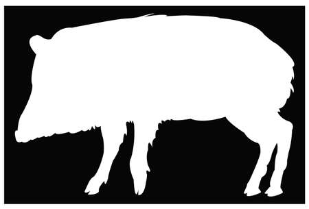 vector illustration of black wild boar silhouetteのイラスト素材