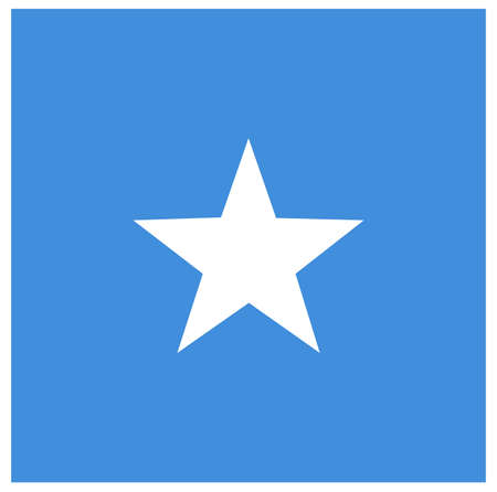 vector illustration of Somalia flagのイラスト素材