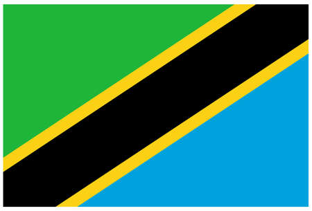 vector illustration of Tanzania flagのイラスト素材