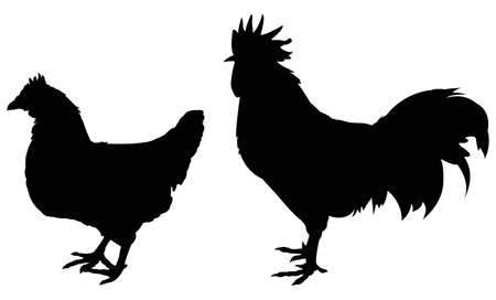 vector illustration of black poultry silhouetteのイラスト素材