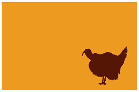 vector illustration of turkey bird silhouette
