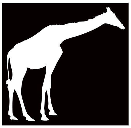 vector illustration of black giraffe silhouetteのイラスト素材
