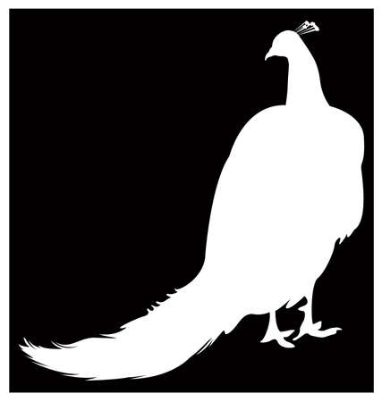 vector illustration of black peacock silhouetteのイラスト素材