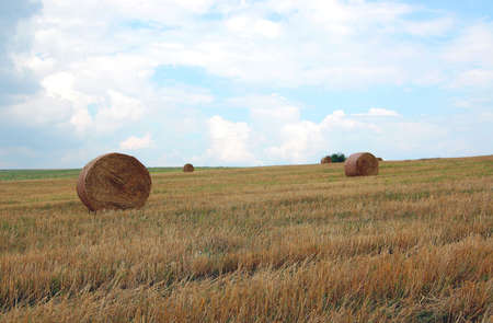 Hay Balesの写真素材