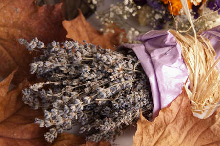 Lavender and autumn dry leafs  Still Life Composition  の写真素材