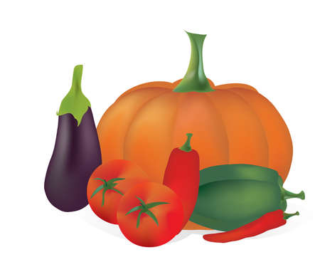 3D Set of Vegetables  Tomatoes, Peppers, Pumpkin and Eggplantのイラスト素材