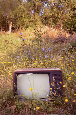 Retro Design TV on a Meadowの写真素材