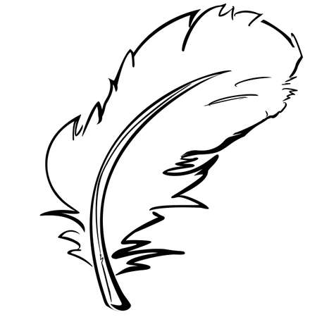 Bird feather contour sketch. Vectorのイラスト素材