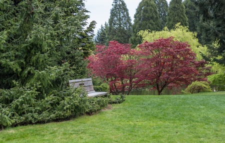 Park Benchの写真素材