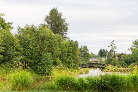 Park lake with fountainの写真素材
