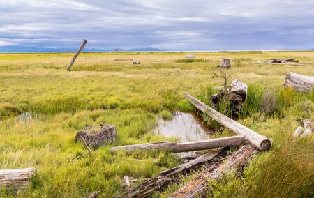 Photo of swamp at fall evening with clouds.の写真素材