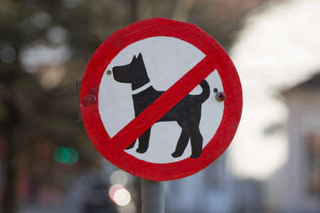Forbidden for dogs, signの写真素材