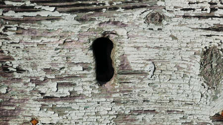 Detail on old wooden doorの写真素材