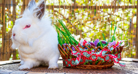 White bunny sitting on wooden table along striped basket full of Easter decorationの写真素材