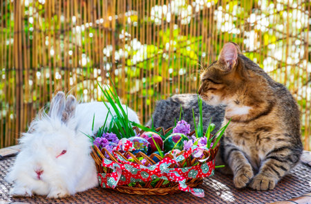 Bunny and kitty sitting around decorated Easter basket full with eggsの写真素材
