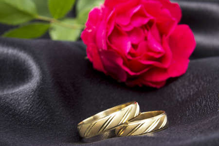 Wedding ringsの写真素材