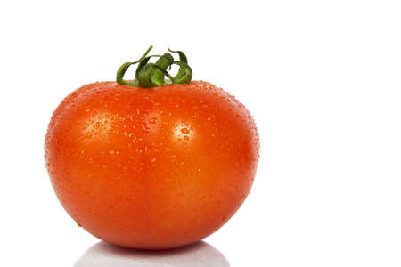 Tomato branch isolated on white backgroundの写真素材