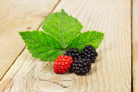 Fresh forest fruits with leaves behind on a wooden surface. Raspberries and blackberriesの写真素材