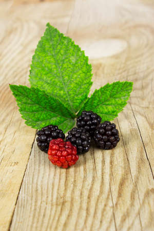 Fresh forest fruits with leaves behind on a wooden surface. Raspberries and blackberriesの写真素材