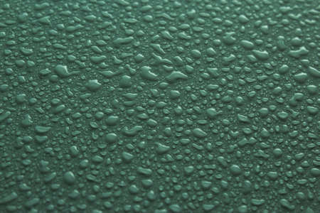 Water drops on green surfaceの写真素材