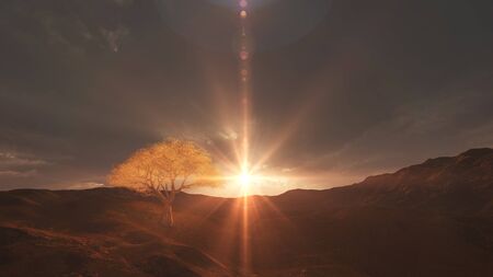 sunset at meadow and lonely tree, 3d render illustration