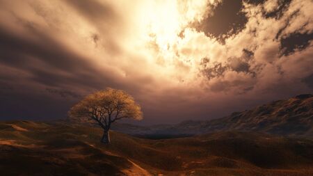 sunset at meadow and lonely tree, 3d render illustrationの写真素材