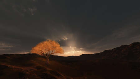 sunset at meadow and lonely tree, 3d render illustrationの写真素材