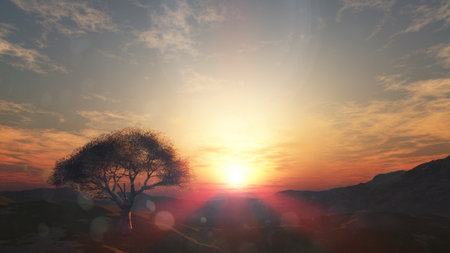 sunset at meadow and lonely tree, 3d render illustrationの写真素材
