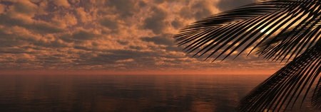 sunset sea palm landscape illustration, 3d renderの写真素材