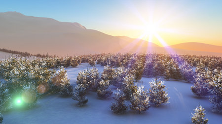 above winter forest mountain sunset 3D rendering illustrationの写真素材