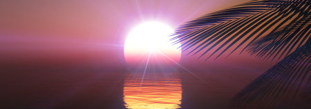 sunset sea palm landscape illustration, 3d renderの写真素材
