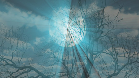 Tree and full moon background 3d render illustrationの写真素材