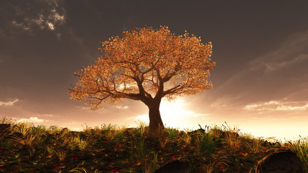 tree spring in meadow sunset illustration, 3d renderingの写真素材
